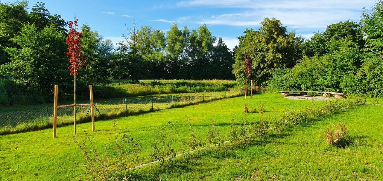 Ferienhaus Rotdorn Wiek auf Ruegen Ngoại thất bức ảnh